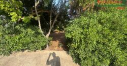 Villetta con ampio giardino